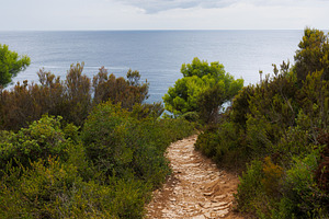 Path to the sea, Kap Kamenjak, Premantura.Croatia, a Nature Photo by Bepslabor