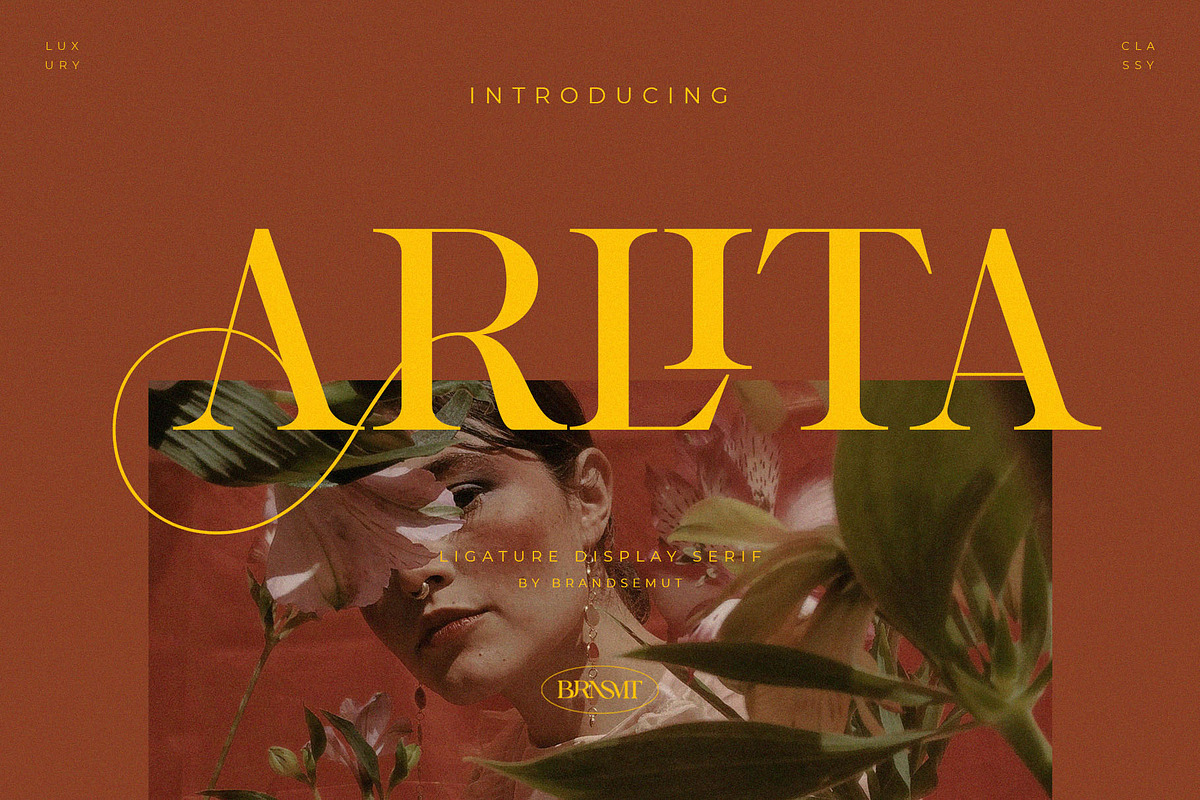 Arlita – Unique Ligature Font, a Serif Font by BrandSemut (Photo 1 of 10)