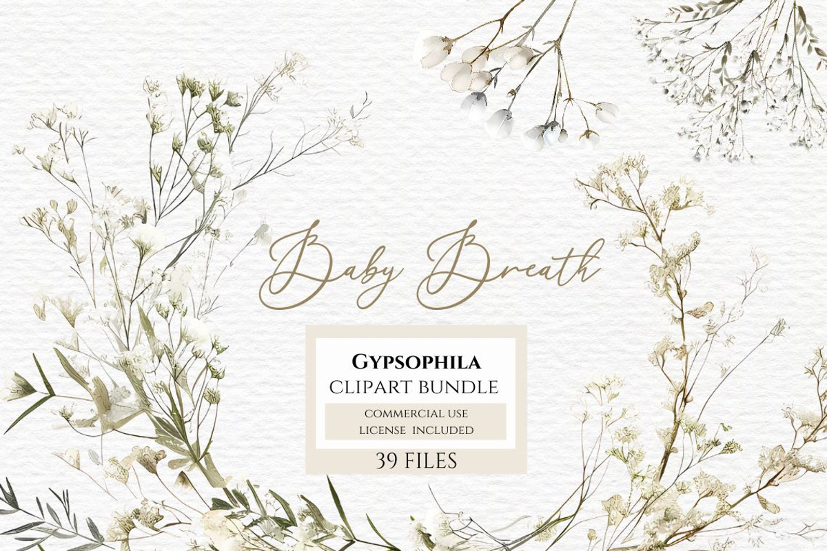 Gypsophila clipart, Baby Breath PNG, a Decorative Illustration by Invite to Clipart (Photo 1 of 7)