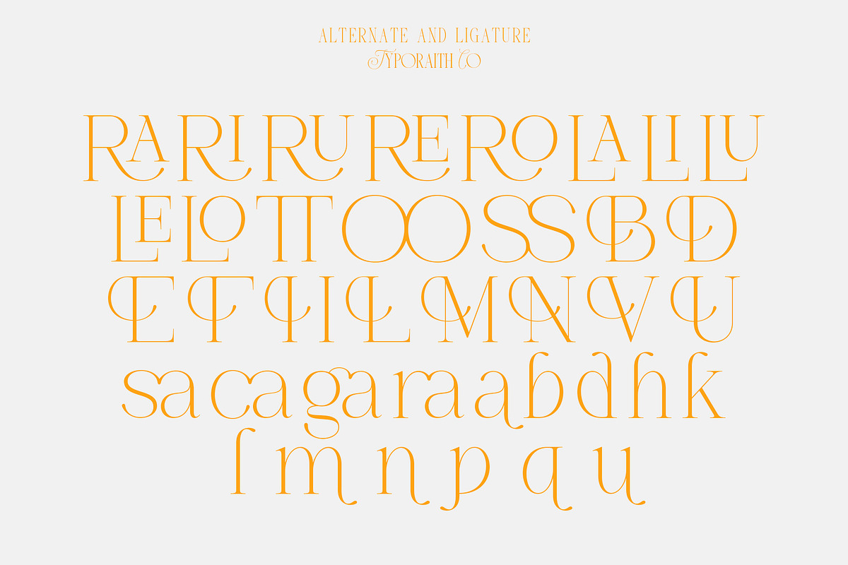 Brumer | Modern Elegant Serif, a Serif Font by Typoraith Co (Photo 5 of 10)