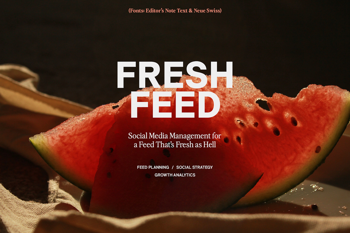 Free Download - Fontfreebie