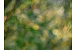Abstract green and yellow nature