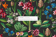 Exquisite Botanical Floral Pattern, a Pattern Graphic by likorbut (Thumbnail 2 of 14)