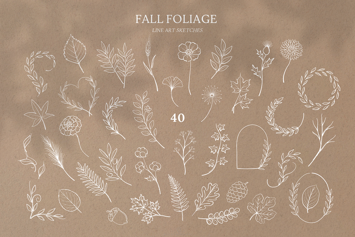 Fall Foliage Line art sketches, an Object Graphic by Blumensdiary (Photo 3 of 7)