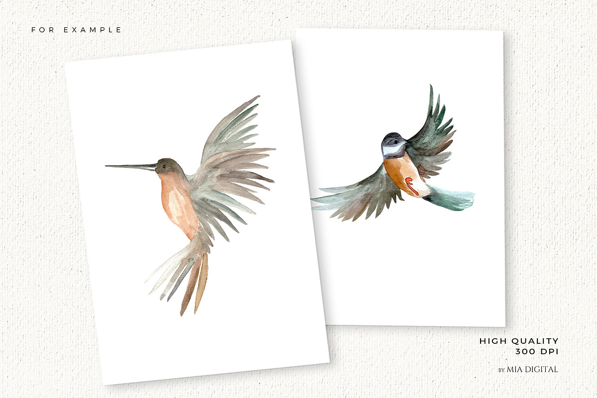 Watercolor Birds Clipart Set, an Animal Illustration by Mia Digital (Photo 4 of 5)