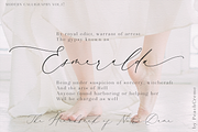 Breathe Poetry // Modern Calligraphy, a Script Font by PeachCreme (Thumbnail 12 of 33)