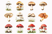 Forest Mushrooms Clipart, an Illustration by Design Market (Thumbnail 4 of 5)