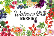 Watercolor berries, an Illustration by Tatiana Davidova (Thumbnail 1 of 2)