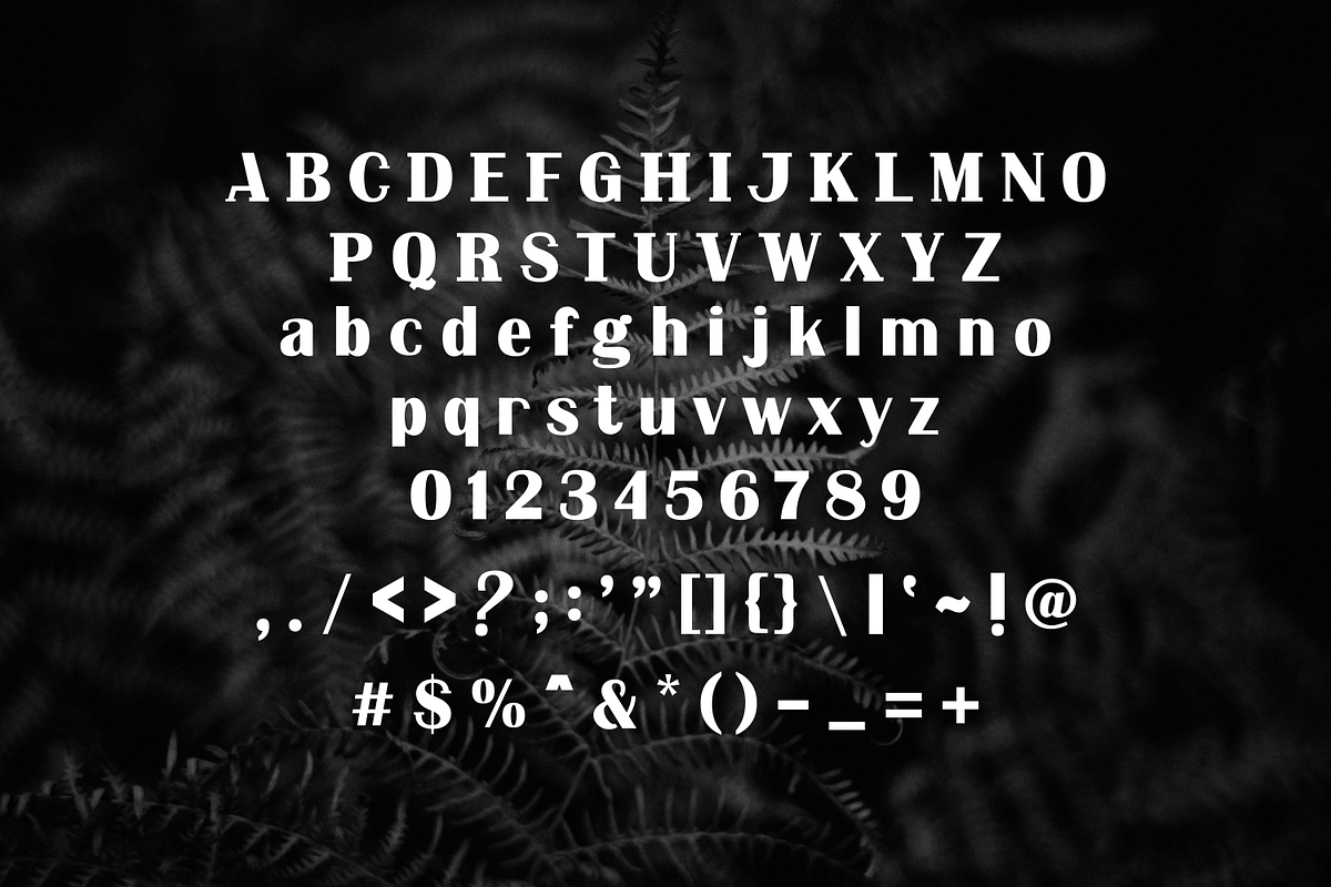 Nu Arge, a Serif Font by lelevien (Photo 3 of 5)