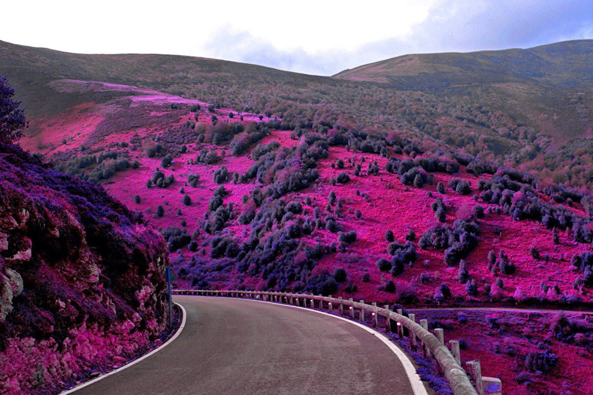 454 Infrared Fantasy Pro LUTs, a Preset Add-On by ShutterPro (Photo 40 of 48)
