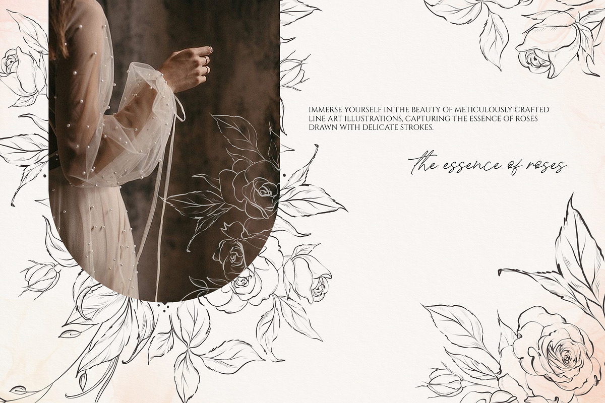 ROSE line art floral collection, a Decorative Illustration by Yuliia Lashevska (Photo 2 of 10)