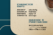 NEWSWORTHY – Classic Elegant Font, a Serif Font by Pinisi ART (Thumbnail 9 of 10)