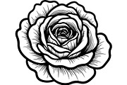 Rose Silhouette File Bundle, a Decorative Illustration by Designer_Momina (Thumbnail 21 of 21)
