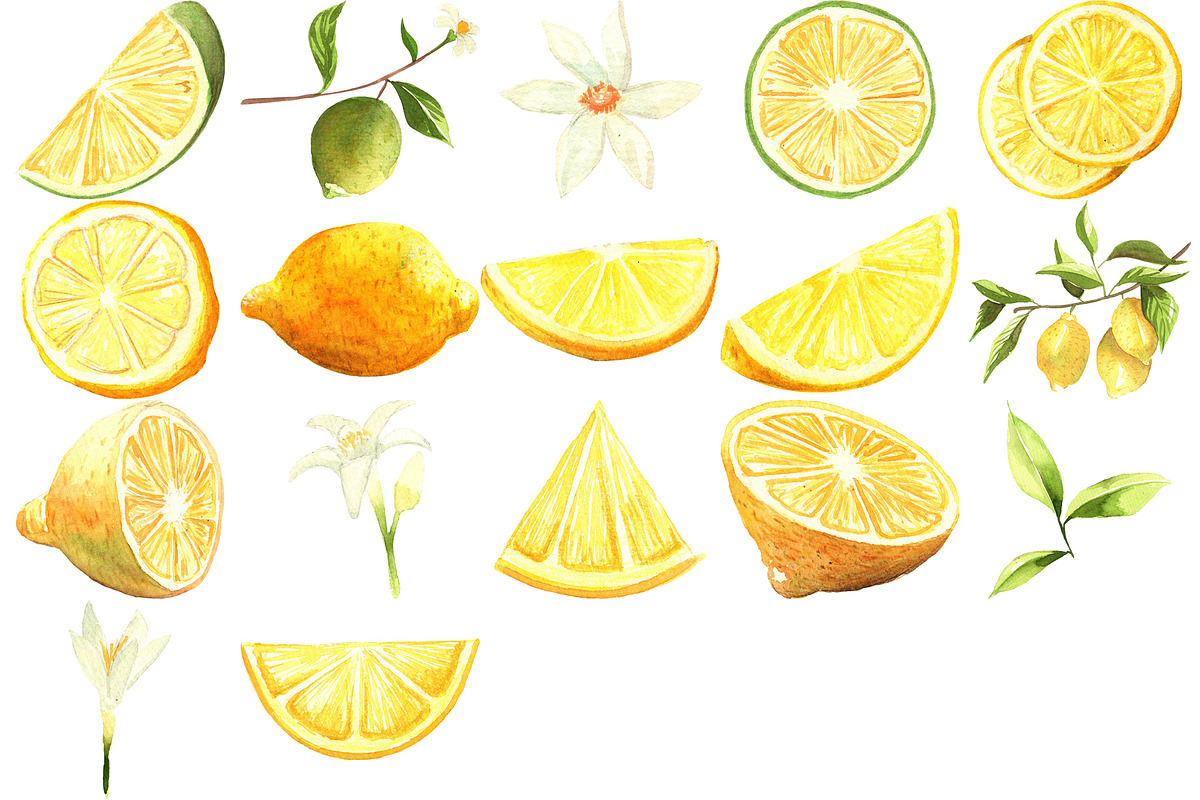 Lemon Lime Orange Watercolor Bundle, a Food Illustration by LilyBoo Clipart (Photo 5 of 6)