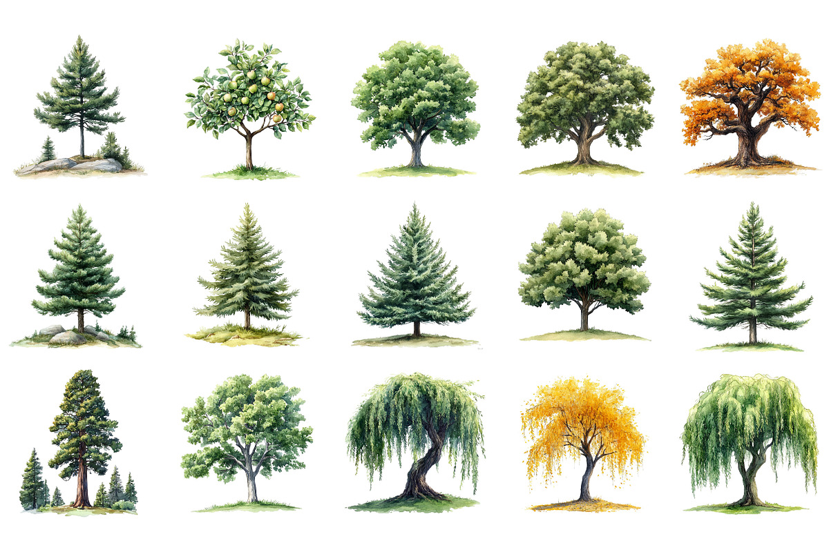 Watercolor Forest Trees Clipart, an Illustration by Designking (Photo 3 of 5)