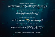 Serial Catch Font, a Script Font by Creativeqube Design (Thumbnail 20 of 22)