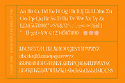 Midnight Modern Display Serif, a Serif Font by timelesstype.co (Thumbnail 19 of 20)