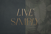 SALE! Font Bundle Vol.3 - 30 fonts, a Serif Font by Only Fonts (Thumbnail 3 of 35)