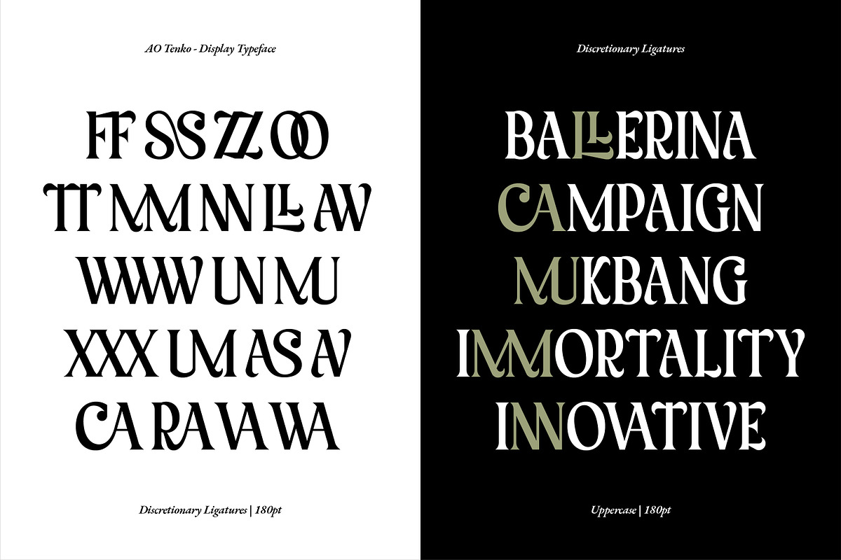 AO Tenko - Display Typeface, a Serif Font by OwunStudio (Photo 8 of 15)
