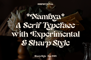 Nambya - Sharp Serif Typeface, a Serif Font by Dharmas Foundry (Thumbnail 2 of 15)