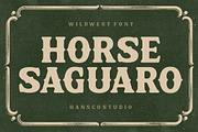 Horse Saguaro - Cowgirl Font, a Serif Font by HansCo Studio (Thumbnail 1 of 7)