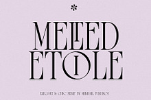 Melted Etoile - Chic Ligature Serif