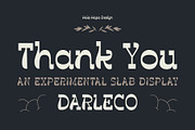 Darleco | Experimental Slab Display, a Slab Serif Font by Hole Hope Design (Thumbnail 10 of 10)