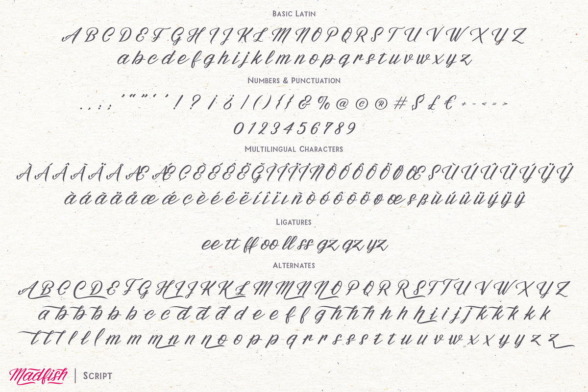Madfish Font Family ++ EXTRAS, a Script Font by Ayca Atalay (Photo 12 of 15)