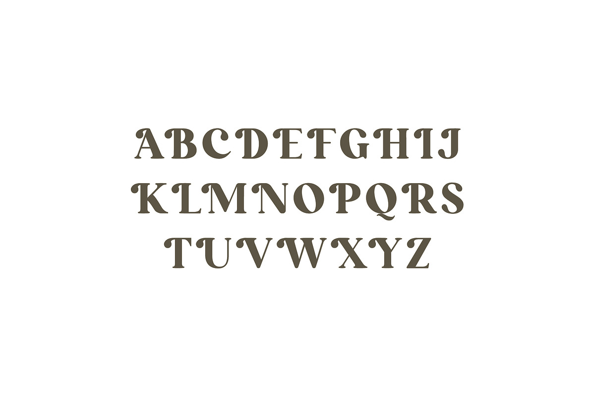 Pollinator Display Serif Font, a Serif Font by UICreative (Photo 8 of 12)