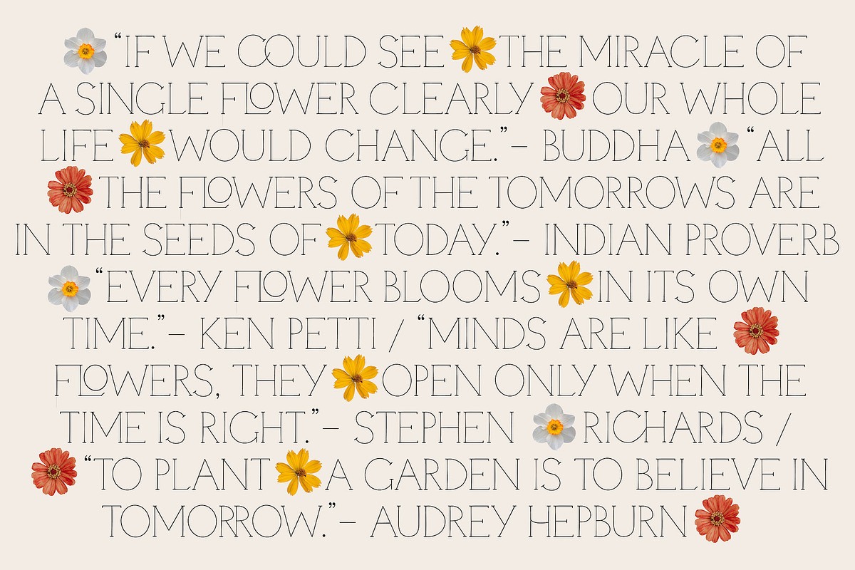 Quinces – A Delicate Display Serif, a Serif Font by Local Desk Designstudio (Photo 5 of 11)