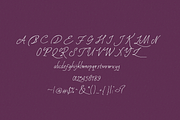 Silent Afterglow, a Handwritten Font by zuzulgo (Thumbnail 5 of 5)