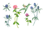Watercolor floral set, an Illustration by Watercolor & sketches (Thumbnail 3 of 7)