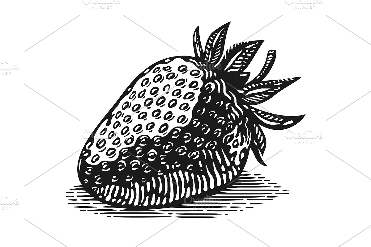 Vintage strawberry engraving vector, a Food Illustration by Ledokolua