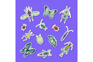 Vector Hand Drawn Insects Stickers