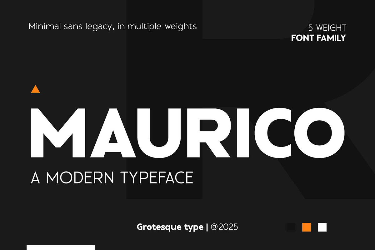 Maurico - Elegant Sans, a Sans Serif Font by Novitype (Photo 1 of 14)