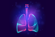 Vector set of human inner organs, a Healthcare Illustration by Rodionoff (Thumbnail 2 of 7)