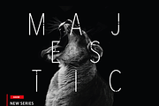 AMALFI - A Modern Font Family, a Sans Serif Font by OkayAnnie Designs (Thumbnail 4 of 12)