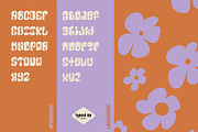 Ashbury | Retro Display Font, a Font by Typed Up Studio (Thumbnail 3 of 11)