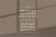 AVGAF - A Modern Serif Font, a Serif Font by Vroz Studio (Thumbnail 12 of 12)