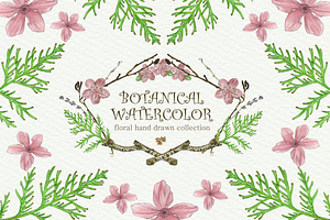 Botanical Watercolor