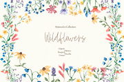 Watercolor Wildflowers Collection, a Decorative Illustration by MayaNavits (Thumbnail 1 of 14)