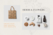 Herb & Flower Line Art in Vector, an Illustration by Manimanisa (Thumbnail 8 of 8)