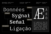 GC Beluga Mono - Elegant Modern Mono, a Serif Font by Glyphonic (Thumbnail 6 of 15)