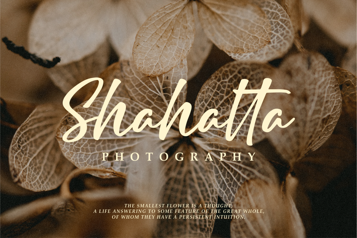 Delight Creations a Script Font, a Script Font by Vilogsign (Photo 7 of 7)