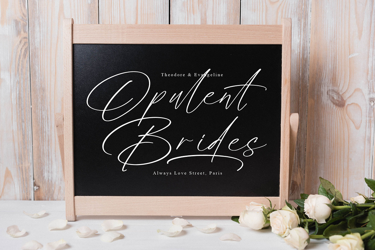 Radiance Berlines, a Script Font by operatype.co (Photo 7 of 15)