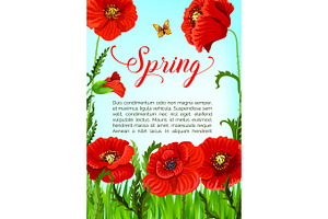 Vector Spring Time Greeting Card Of Poppy Flowers