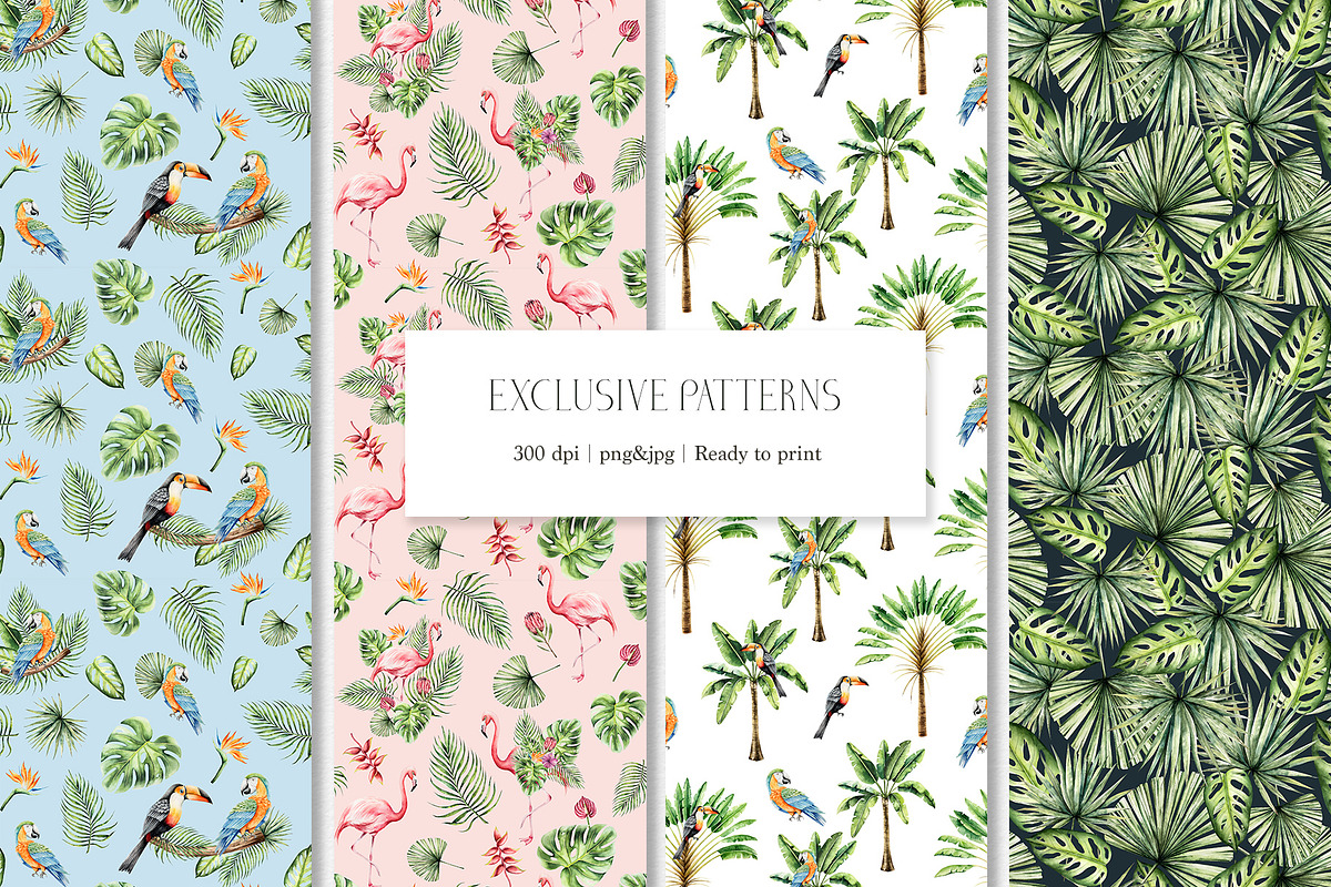 TROPICAL FOREST - Watercolor set, an Animal Illustration by Navenzeles (Photo 9 of 16)