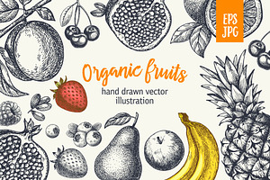 Fruits. Hand Drawn Collection.