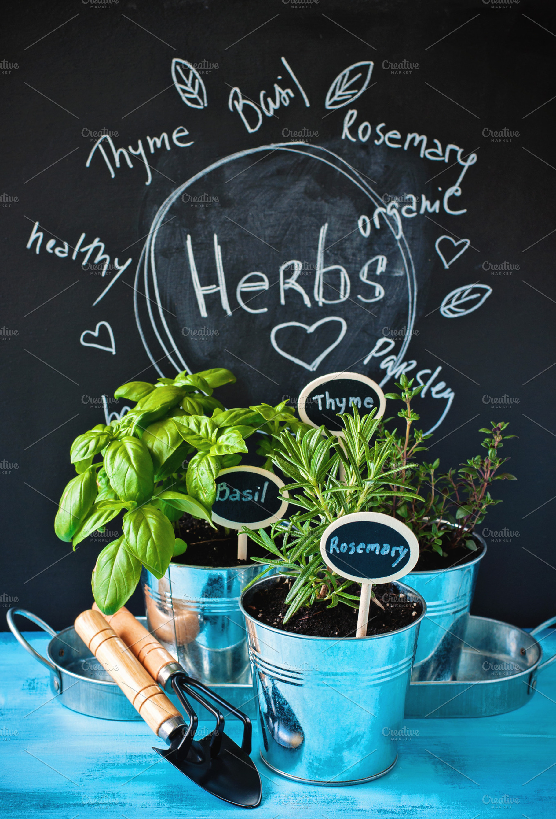 Herb garden rosemary basil thyme containing gardening, garden, and market, a Food & Drink Photo by RosyMaple