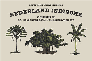 East Indies Botanical Illustrations